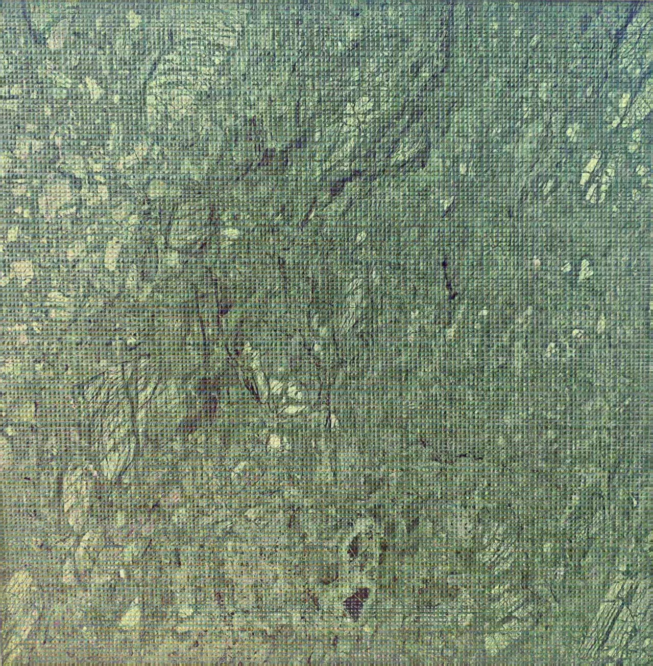 Skin Texture Marble